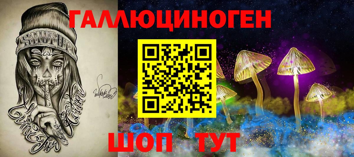 Галлюциногенные грибы GOLDEN TEACHER  Псилоцибиновые грибы Psilocybine cubensis  Екатеринбург  Вход с VPN 