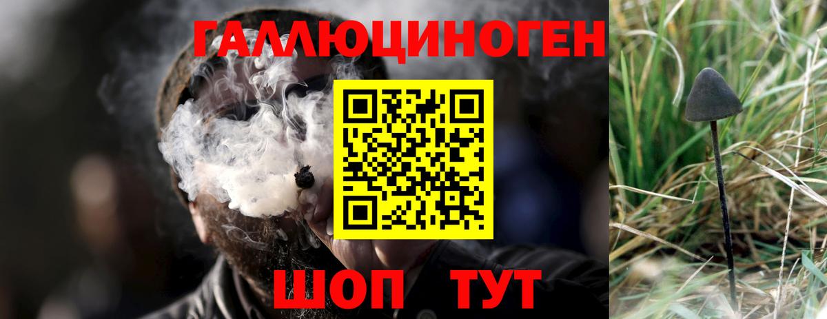 Псилоцибиновые грибы мухоморы Екатеринбург